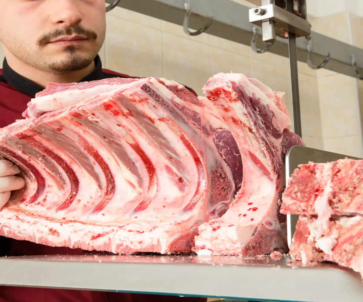 Bandsägebänder für Fleisch und Knochen
